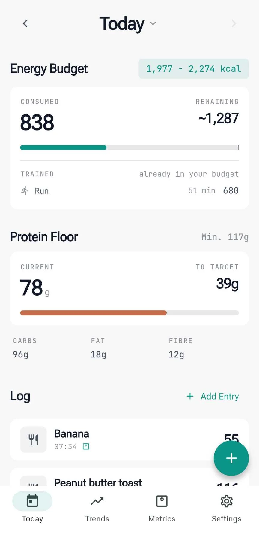 The Today screen: energy budget, protein floor and the day's log